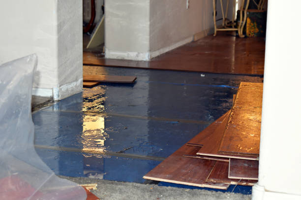 Professional Water Damage Restoration technician working in Hilltown, PA